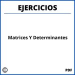 Ejercicios De Matrices Y Determinantes