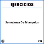 Semejanza De Triangulos Ejercicios Pdf